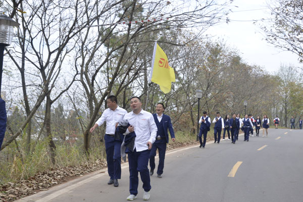 陽光行、快樂游